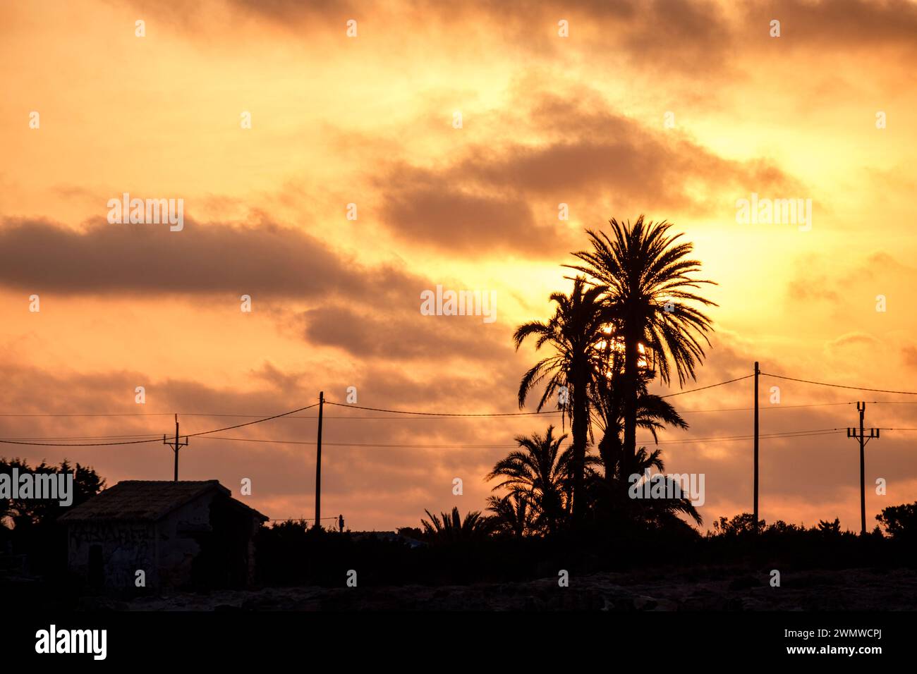 sonnenaufgang in Sa Siquia, Formentera, Pitiusas-Inseln, Balearische Gemeinschaft, Spanien Stockfoto