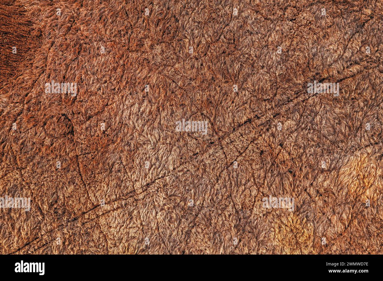 Luftaufnahme von trockenem Wiesengras, Draufsicht Stockfoto