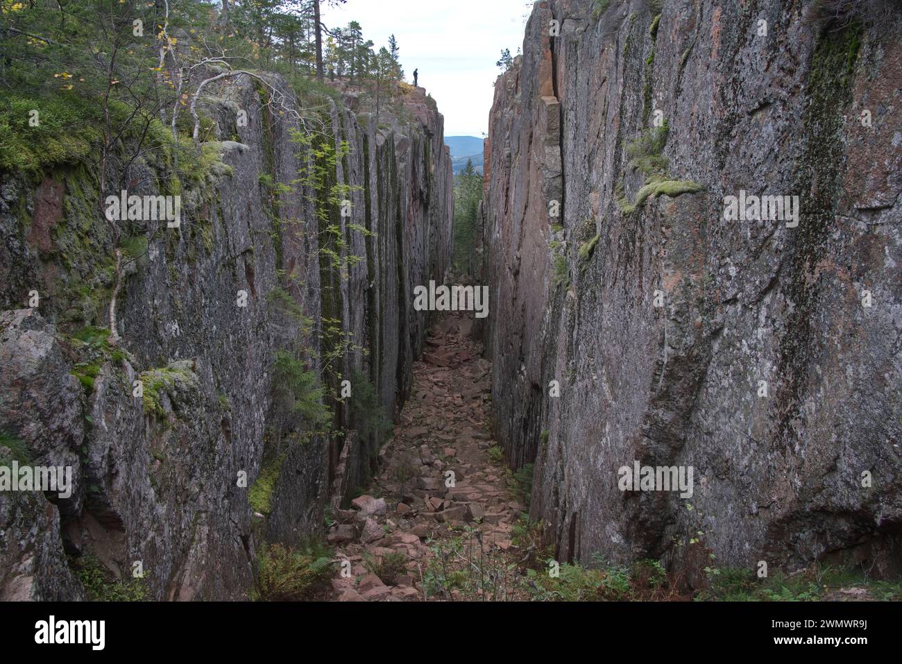 Slåttsdalsskrevan Höga Kusten Skuleskogens Nationalpark Ångermanland Stockfoto