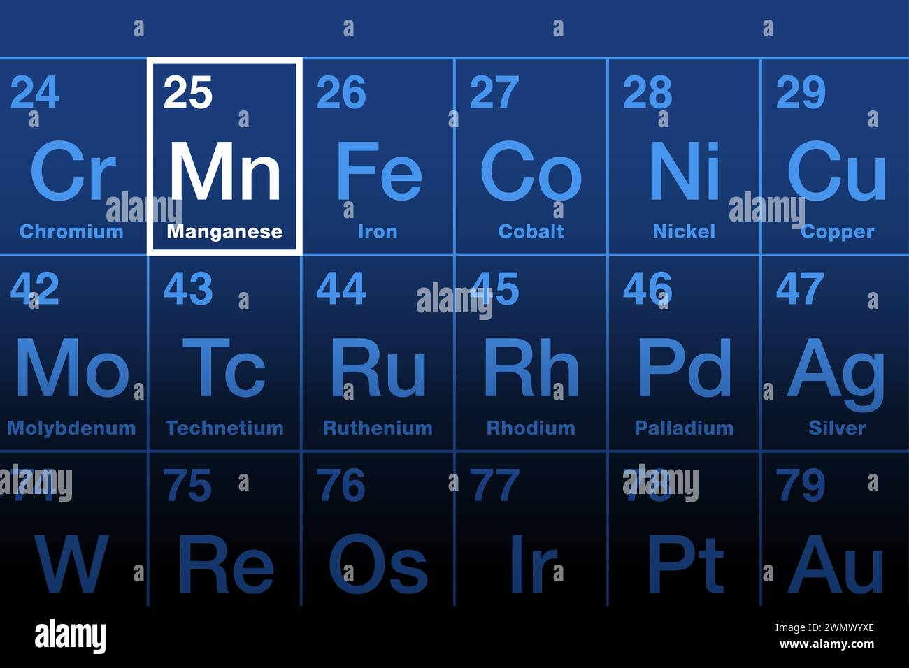 Manganelement im Periodensystem. Übergangsmetall und chemisches Element mit dem Symbol Mn und der Atomzahl 25. Wird für die Stahlproduktion verwendet. Stockfoto