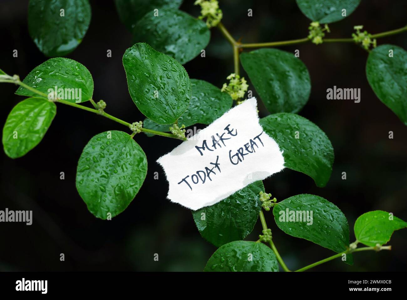 Inspirierende Typografie Zitat auf zerrissenem Papier mit den Worten „Make Today Great“ auf einem Baumzweig, motivierende Typografie. Stockfoto