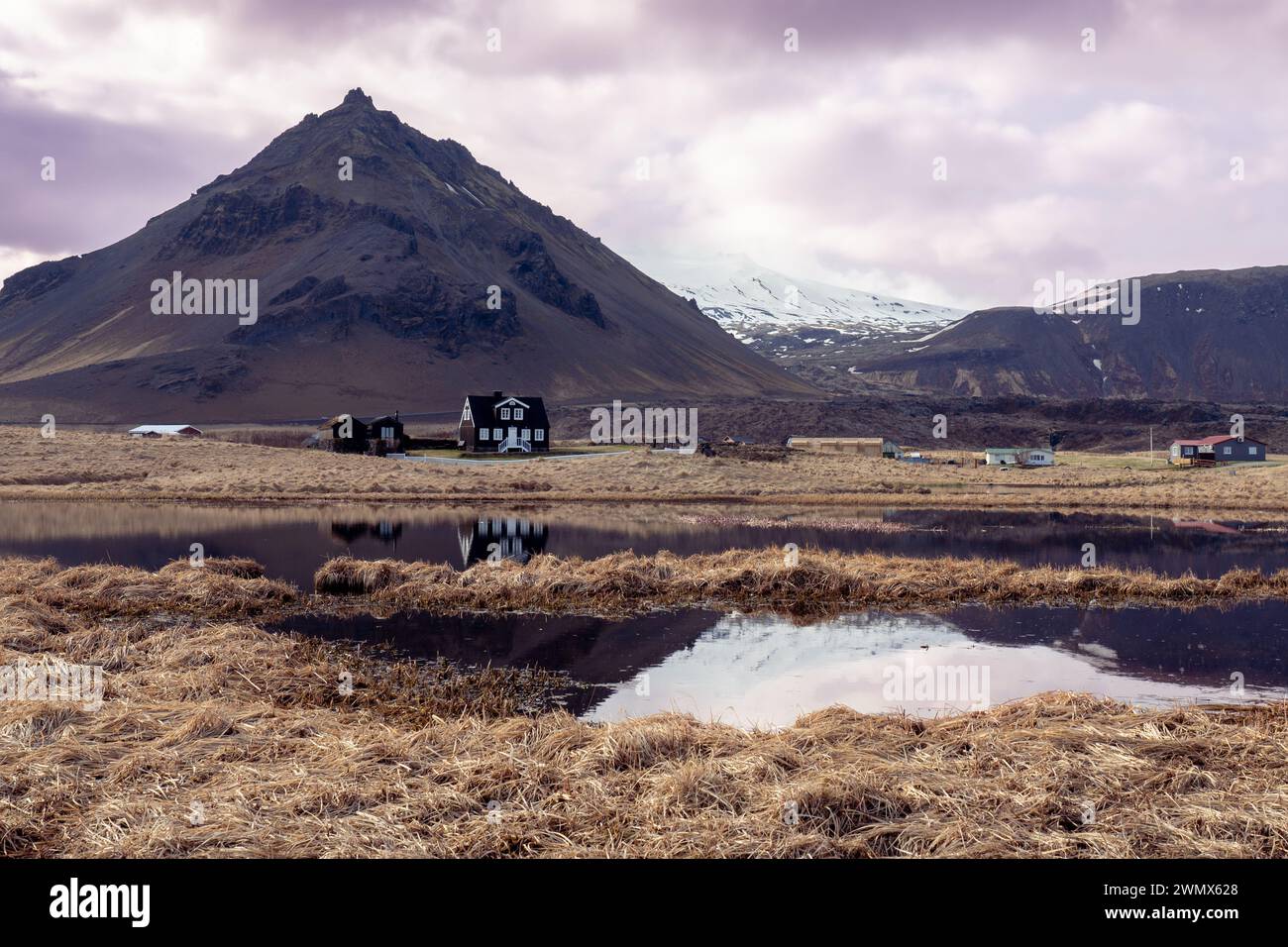 Die ländlichen Häuser vor dem Hintergrund der majestätischen Berge. Island Stockfoto
