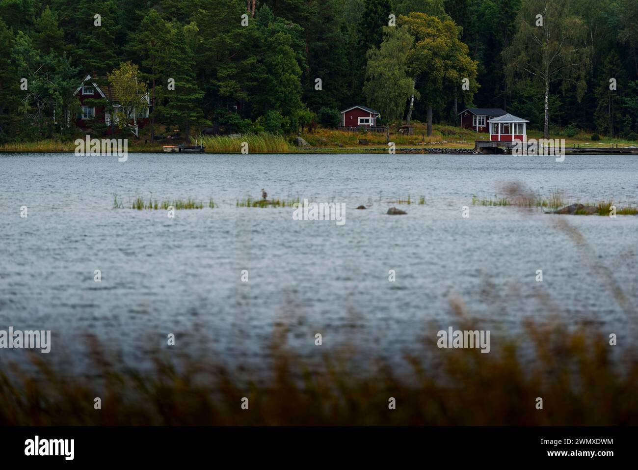 Ferienhäuser in Skandinavien, Wald, Natur, ländlich, naturnah, Holzhaus, Landhaus, Fluss, einsam, Urlaub, reisen, Tourismus Stockfoto