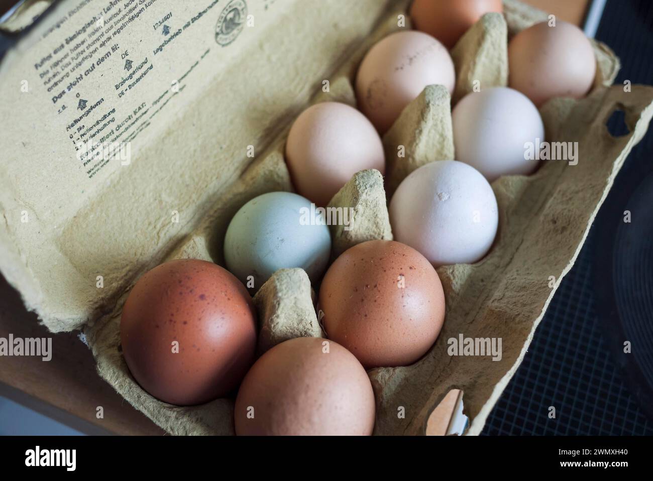 Eier, grün, weiß, braun, Pappe Stockfoto
