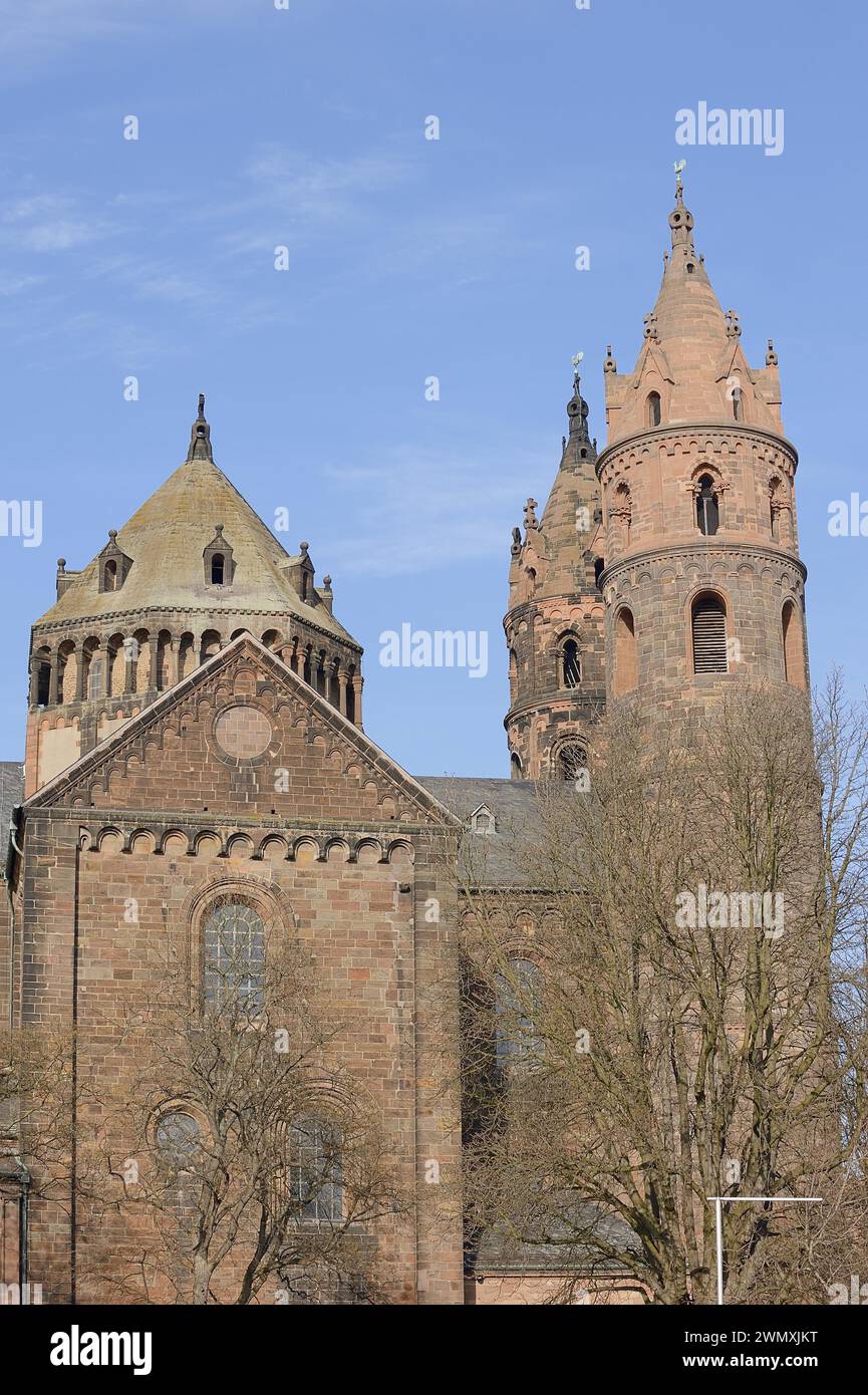 Petersdom oder Wormser Dom, Worms, Rheinland-Pfalz, Deutschland Stockfoto