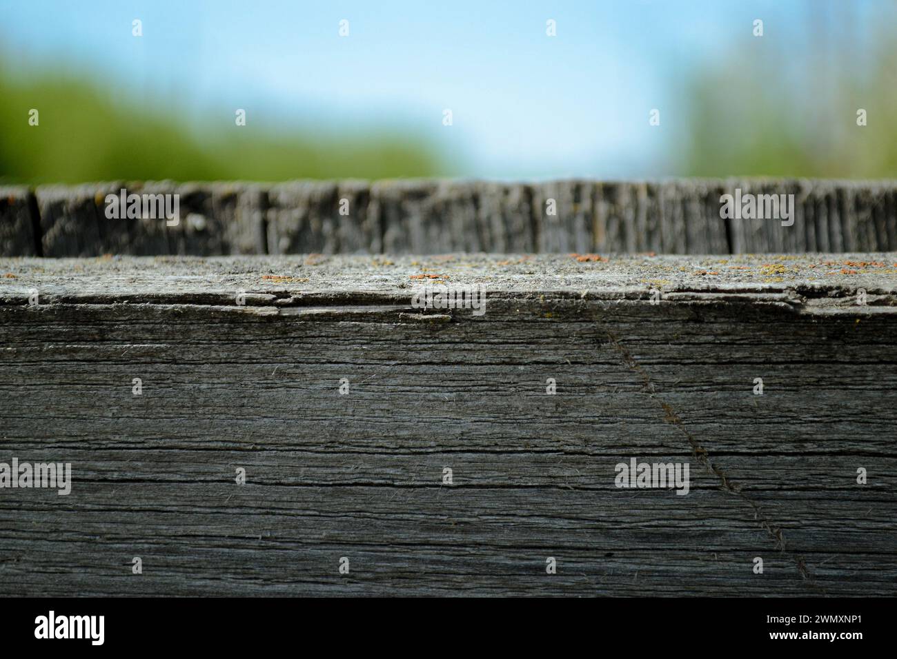 Nahaufnahme der Textur eines Holzzauns Stockfoto