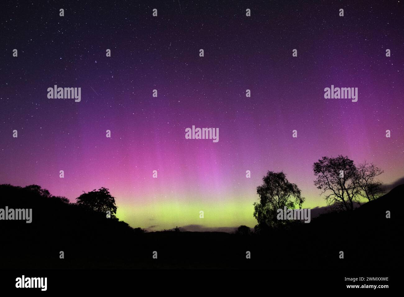 Northern Lights, Aurora Borealis, Fleet Valley National Scenic Area, in der Nähe des Gatehouse of Fleet, Dumfries & Galloway, Schottland Stockfoto