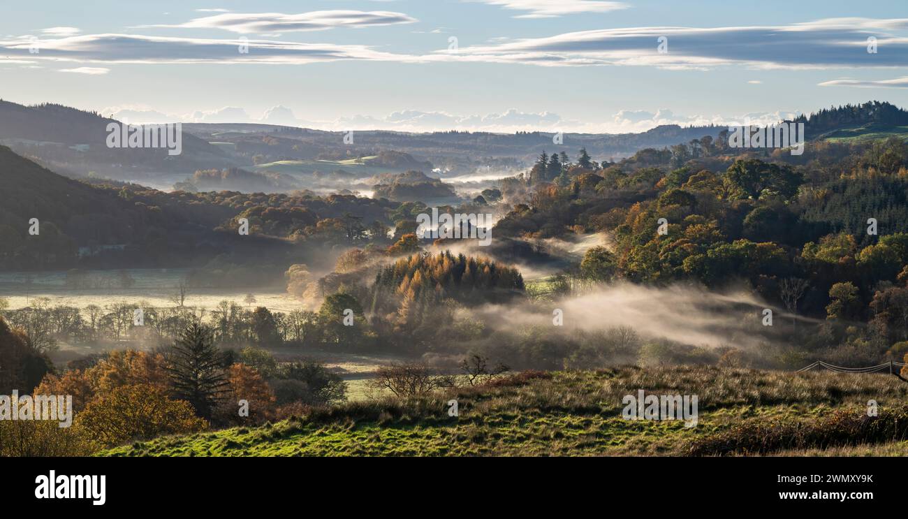 Nebliger Herbstmorgen im Fleet Valley National Scenic Area, in der Nähe des Gatehouse of Fleet, Dumfries & Galloway, Schottland Stockfoto