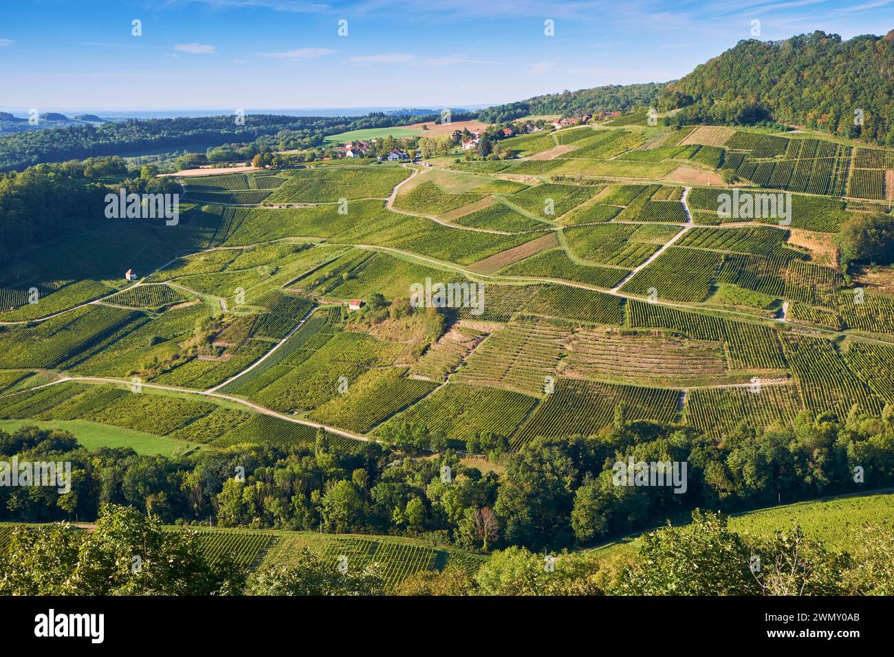 Frankreich, Jura, Chateau Chalon, mit der Bezeichnung Les Plus Beaux Villages de France (die schönsten Dörfer Frankreichs), der Weinberg, der ausschließlich aus Savagnin-Trauben besteht und als vin jaune mit der gemeinschaftlichen Bezeichnung Chateau Chalon AOC vinifiziert wurde Stockfoto