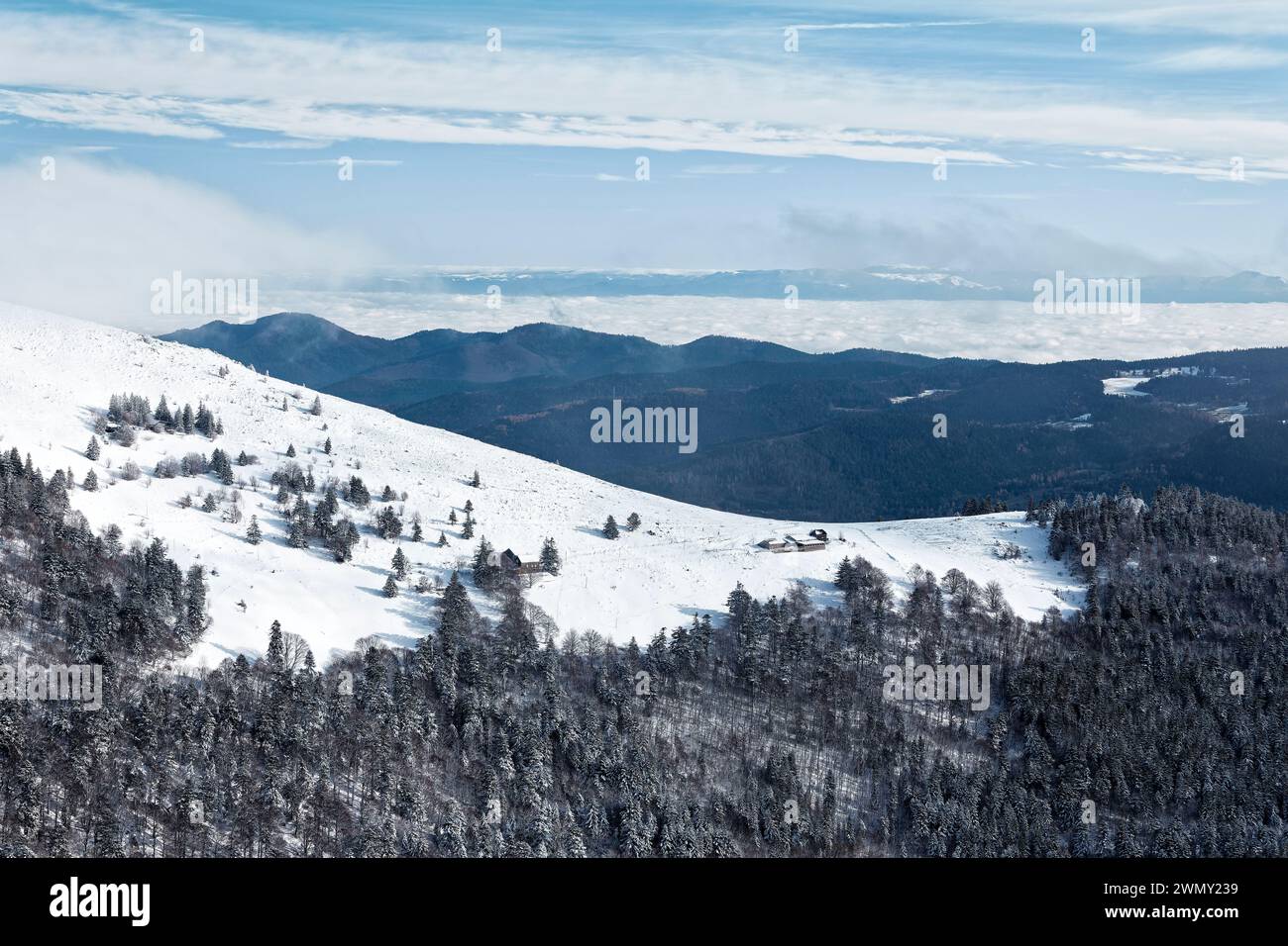 Frankreich, Vogesen, regionaler Naturpark Ballons des Vosges, La Bresse, abgelegener Bauernhof in der Nähe des Gipfels von Hohneck 1363 m unter dem Schnee und umgeben von einem Wolkenmeer Stockfoto