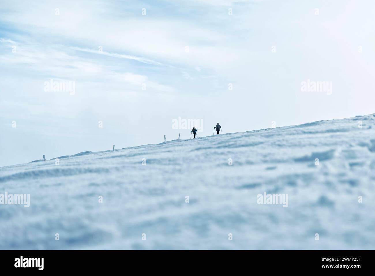 Frankreich, Vogesen, regionaler Naturpark Ballons des Vosges, La Bresse, Schneeschuhwanderer auf dem Gipfel des Hohneck 1363 m unter dem Schnee Stockfoto