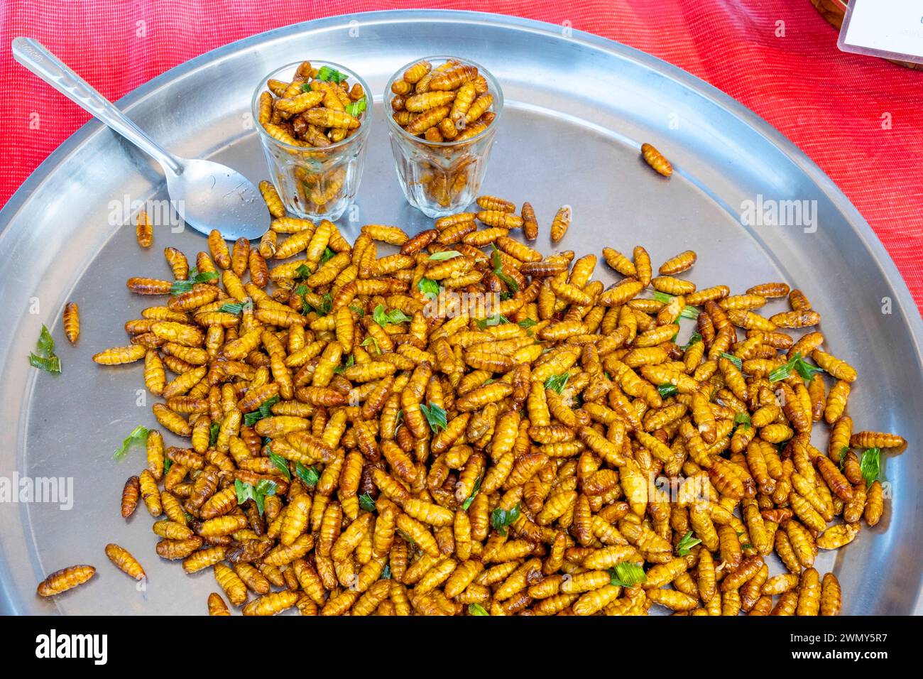 Thailand, Chiang Rai, gegrillte Insekten auf dem Markt Stockfoto