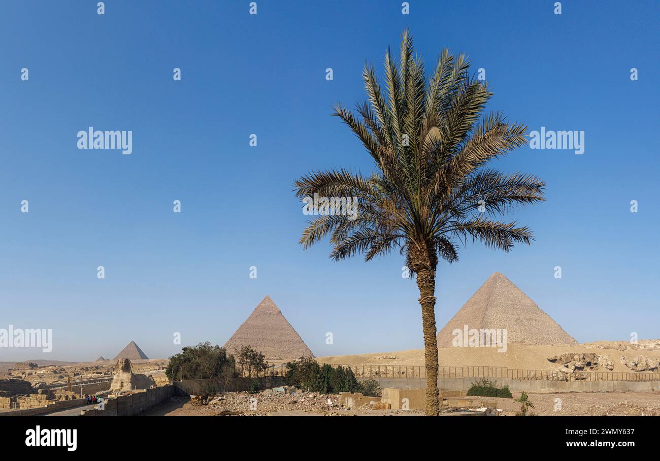 Ägypten, Kairo, Guiza, Memphis und seine Nekropole, die Pyramidenfelder von Gizeh bis Dahshur, die von der UNESCO zum Weltkulturerbe erklärt wurden, Gizeh-Plateau mit der Sphinx und den 3 Pyramiden Stockfoto