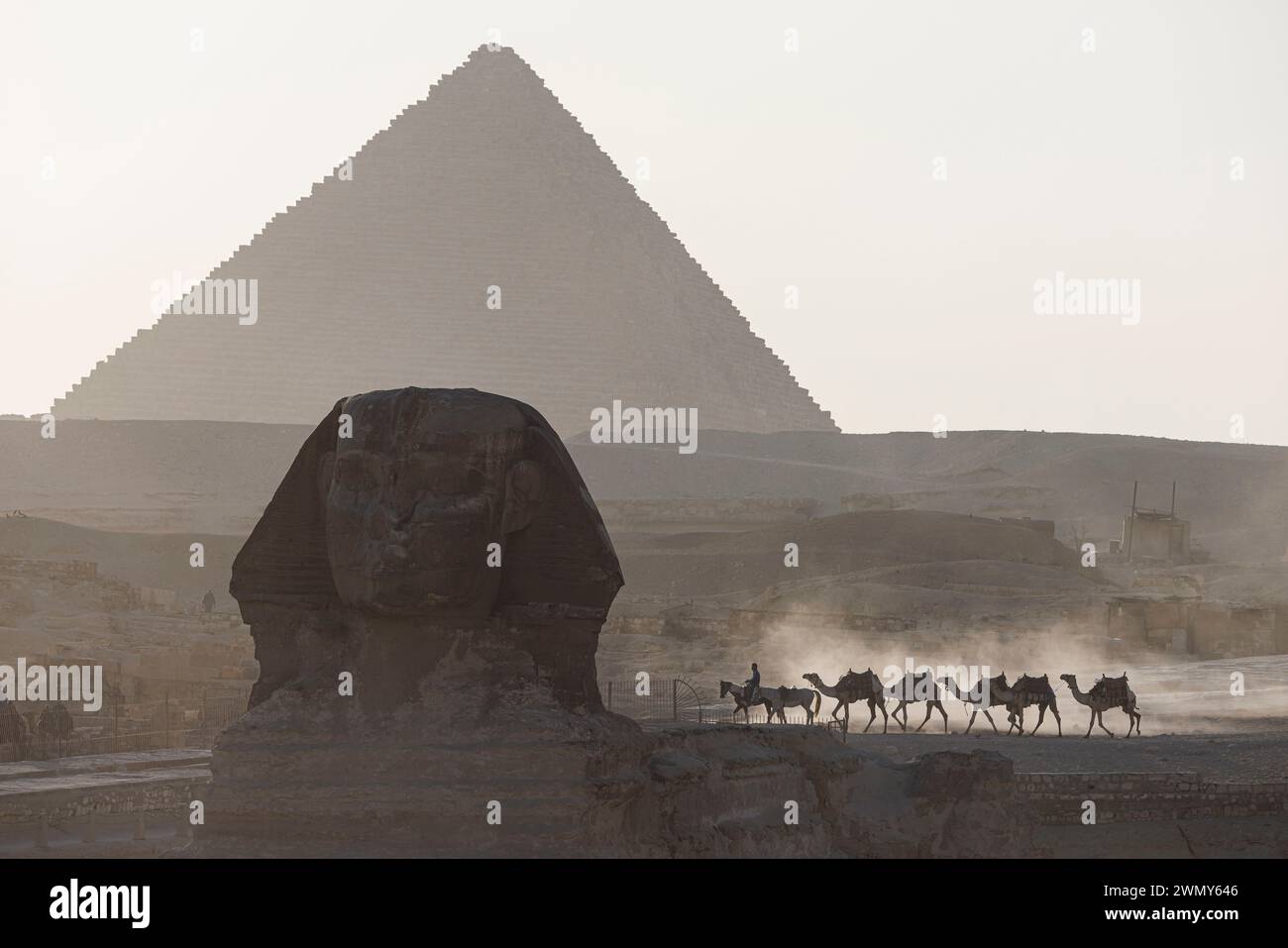 Ägypten, Kairo, Guiza, Memphis und seine Nekropole, die Pyramidenfelder von Gizeh bis Dahshur, die von der UNESCO zum Weltkulturerbe erklärt wurden, Pferde und Kamele in der Nähe der Sphinx- und Menkaure-Pyramide Stockfoto