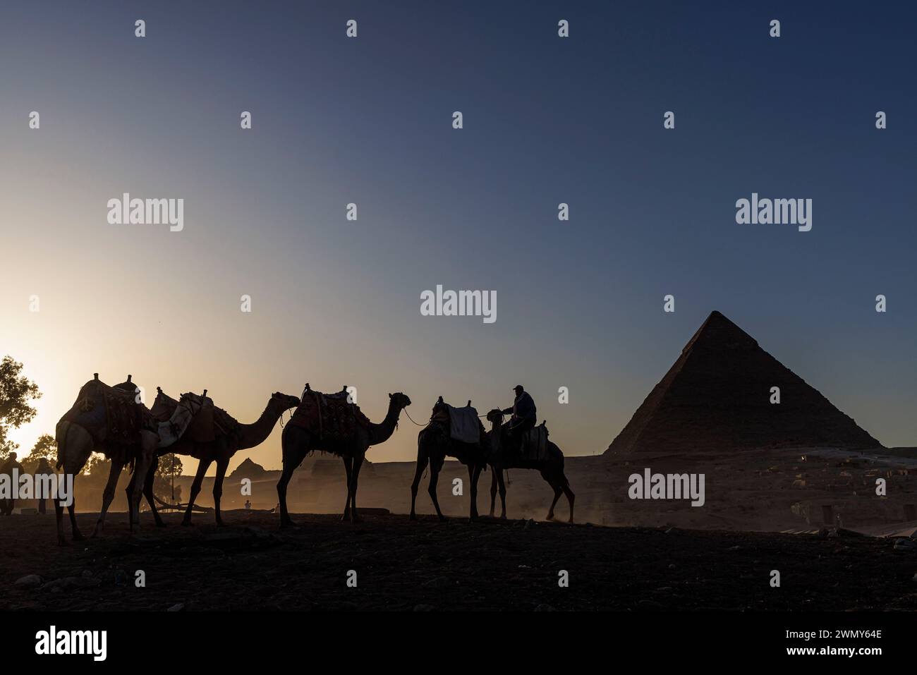 Ägypten, Kairo, Guiza, Memphis und seine Nekropole, die Pyramidenfelder von Gizeh bis Dahshur, die von der UNESCO zum Weltkulturerbe erklärt wurden, Kamele vor der Chephrenpyramide Stockfoto