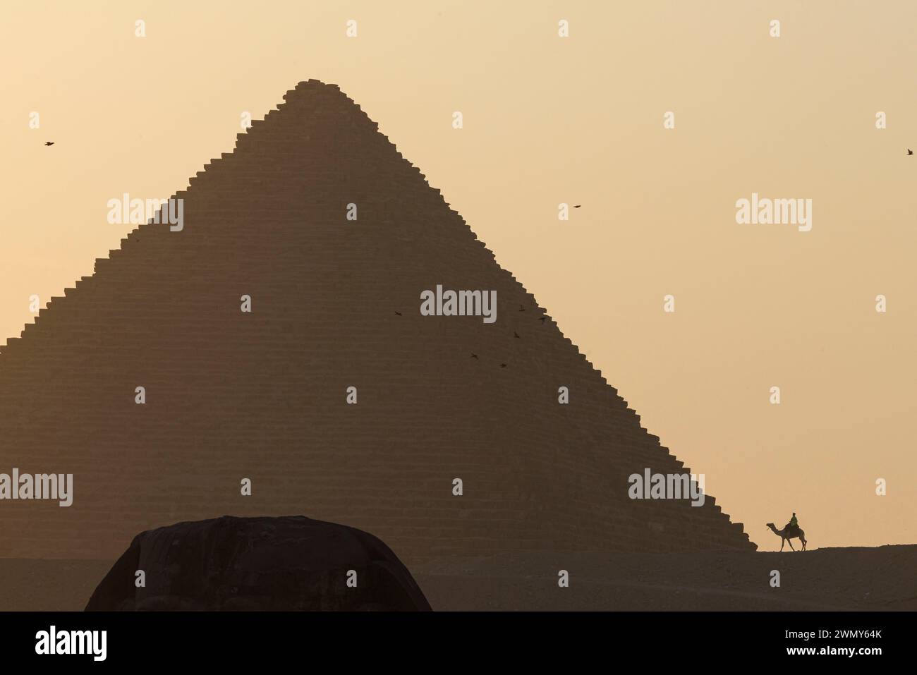 Ägypten, Kairo, Guiza, Memphis und seine Nekropole, die Pyramidenfelder von Gizeh bis Dahshur, die von der UNESCO zum Weltkulturerbe erklärt wurden, Kamel in der Nähe der Menkaure-Pyramide Stockfoto