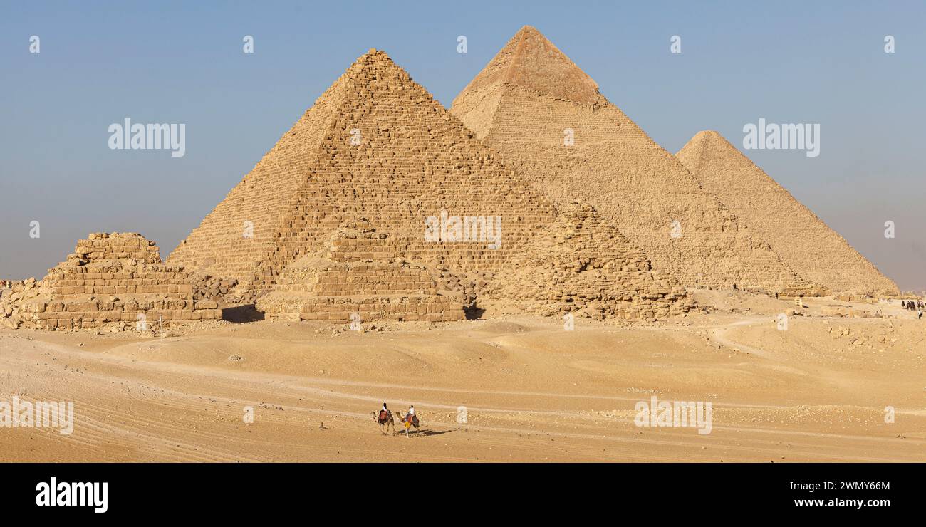 Ägypten, Kairo, Guiza, Memphis und seine Nekropole, die Pyramidenfelder von Gizeh bis Dahshur, die von der UNESCO zum Weltkulturerbe erklärt wurden, Kamele vor den Pyramiden Stockfoto