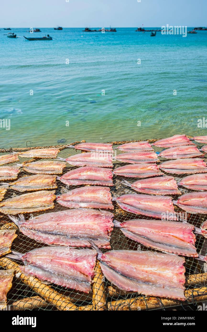 Vietnam, Provinz Kien Giang, Insel Hon Son (oder Lai Son), Dorf Bai Nha, trocknender Fisch Stockfoto