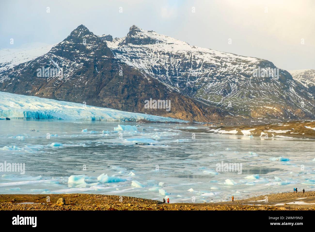 Island, Südküste, Vatnajokull Nationalpark, Skaftafell, Gletscher und Gletschersee von Fjallsárlón Stockfoto