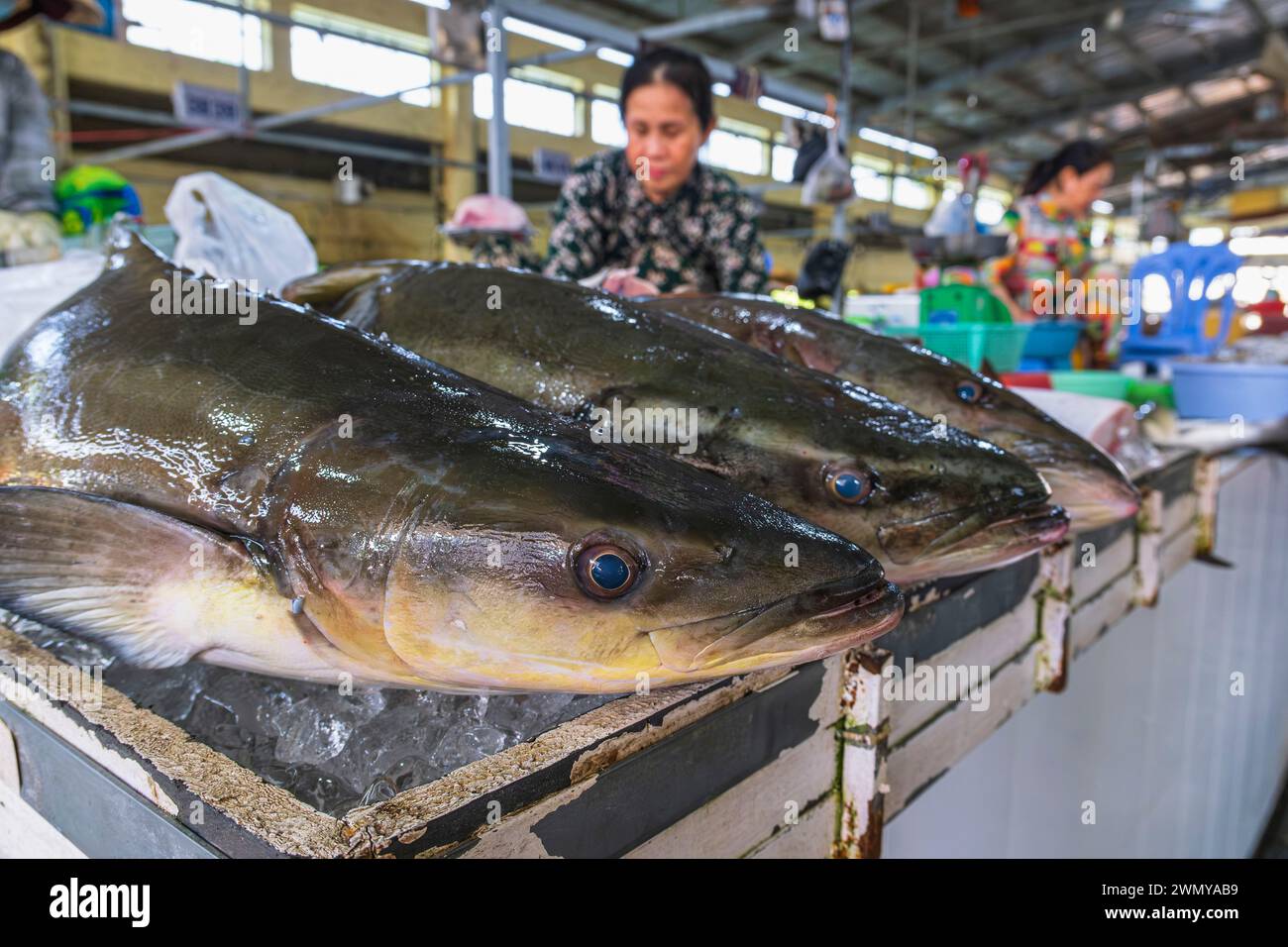 Vietnam, Mekong Delta, Provinz Kien Giang, Rach Gia, der Fischmarkt Stockfoto