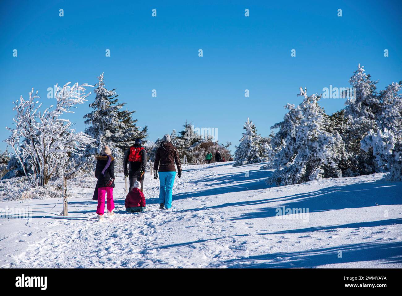Frankreich, Loire (42), Pilat-Massiv, regionaler Naturpark Pilat, La Jasserie, Wanderung Crêt de la Chèvre, Familienspaziergang im Schnee Stockfoto