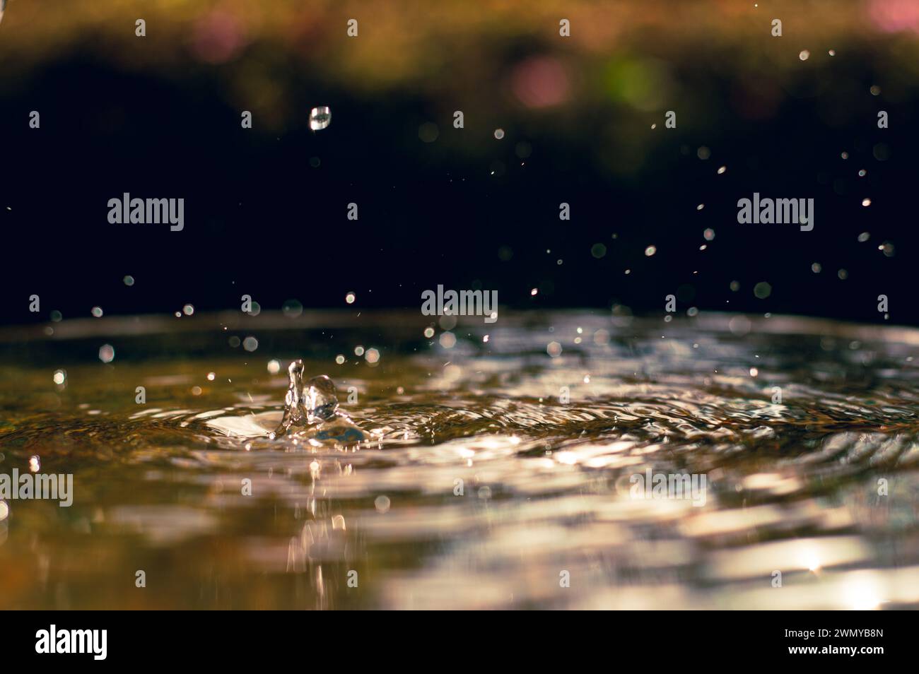 Wassertropfen Stockfoto