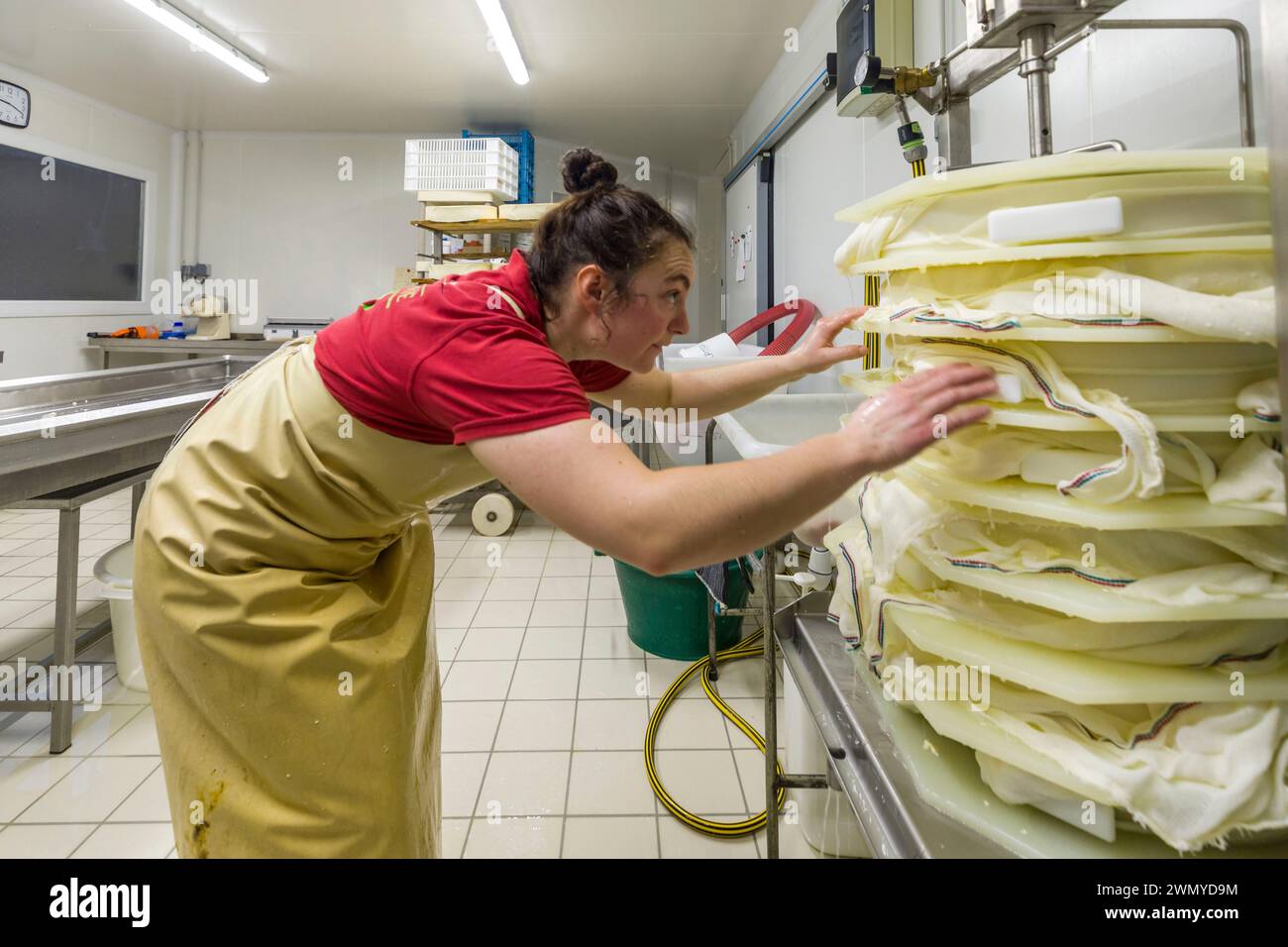 Frankreich, Indre et Loire, Les-Hermites, Lucie's Käserei, in der Käserei, Herstellung von gepresstem Käse Stockfoto
