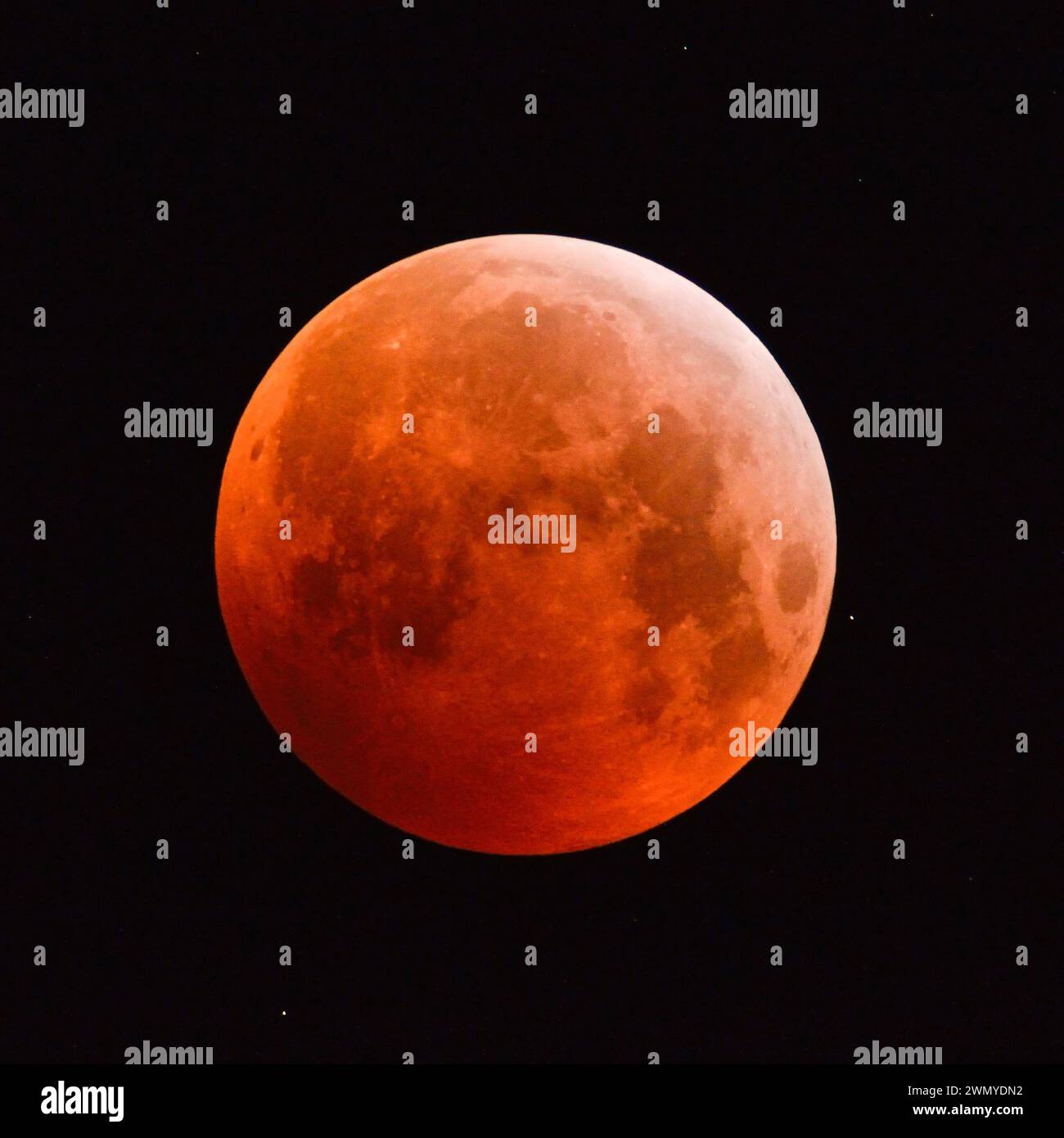Sonnenfinsternis des Supermondes, Mondfinsternis, roter Supermond, Blutmond, roter oranger Vollmond mit funkelnden Sternen, 21. Januar 2019, Deutschland. Stockfoto