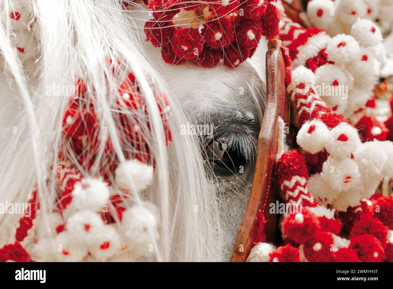 Andalusier. Auge eines grauen Pferdes mit den typischen andalusischen Borlajes auf der Feria de Caballo. Spanien Stockfoto