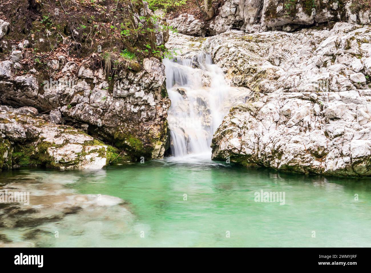 Kleiner Wasserfall in tiefem Wald in Slowenien bei Bled und Ukanc Stockfoto