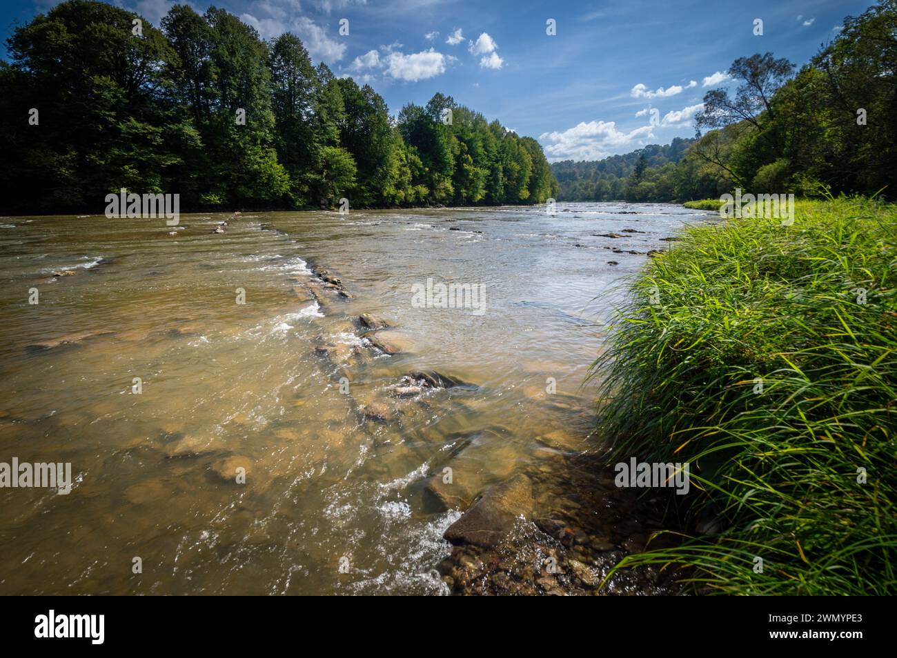 Flacher Fluss mit Steinen, San River Tal in Bieszczady Bergen, niedrige Bergkämme bedeckt mit Wald, Spätsommer Stockfoto