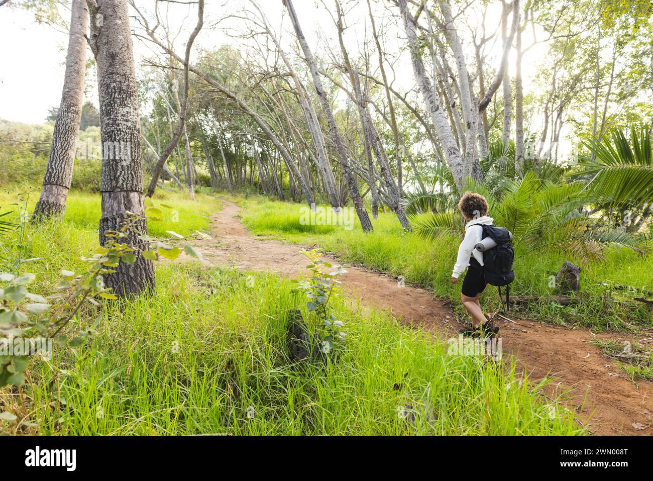 Eine Person mit Rucksack wandert auf einem grünen Waldweg auf einer Wanderung mit Kopierraum Stockfoto