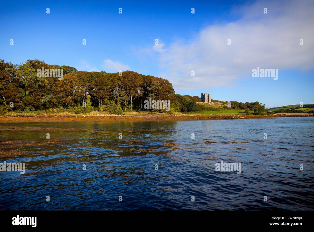 Audley's Castle aus dem 15. Jahrhundert, adaptiert als Blickfang in Castleward, Strangford, County Down, Nordirland Stockfoto