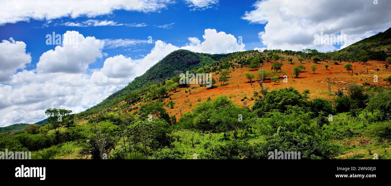 Savannenlandschaft in Bahia, Sertao, Brasilien, Südamerika. Im Hinterland von Bahia, Sertão, Brasilien, Südamerika. Stockfoto