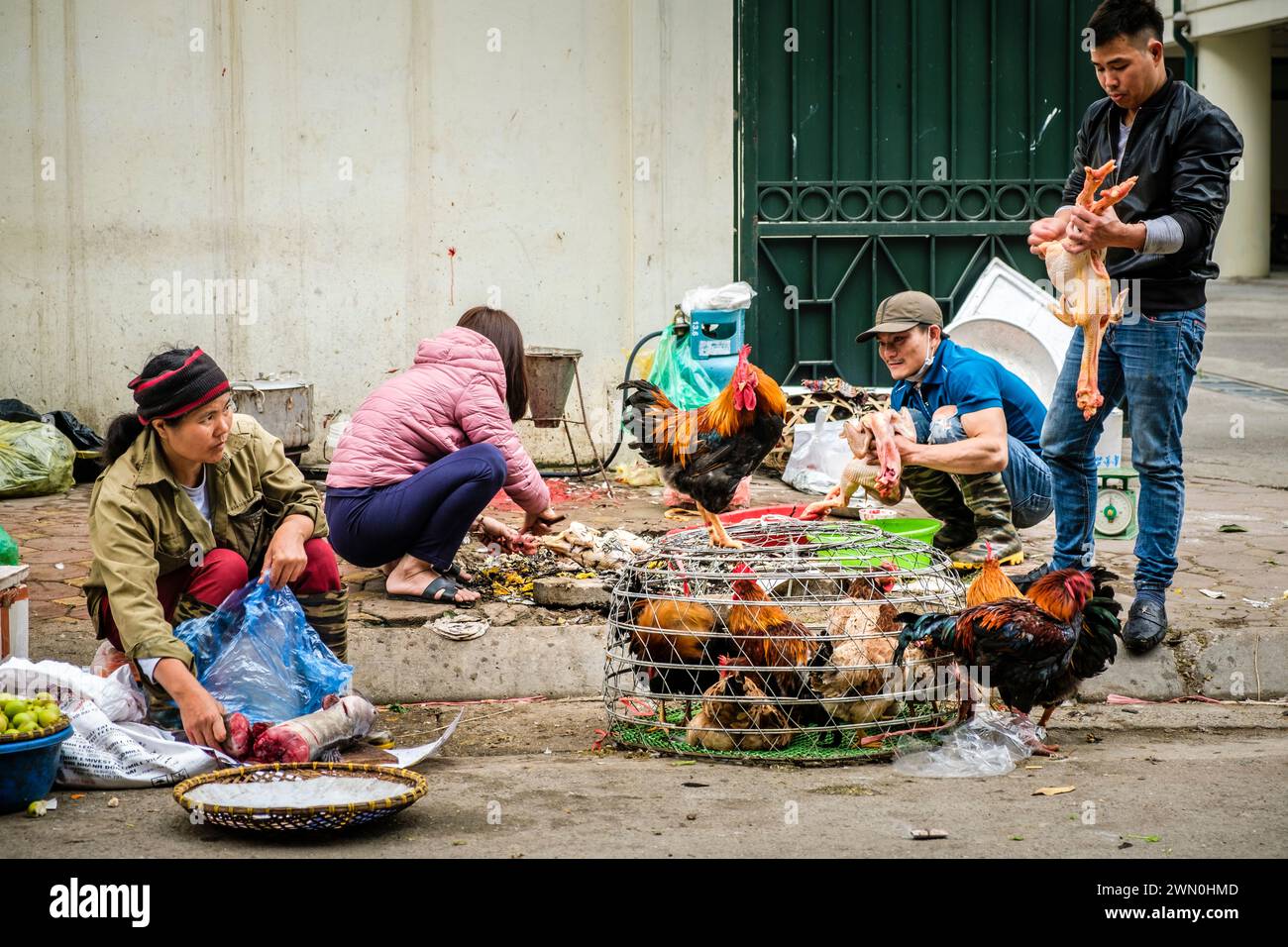 Vietnamesische Familie bereitet und verkauft frischen Fisch und frisch gerupfte Hühner auf der Straße in Hanoi Stockfoto