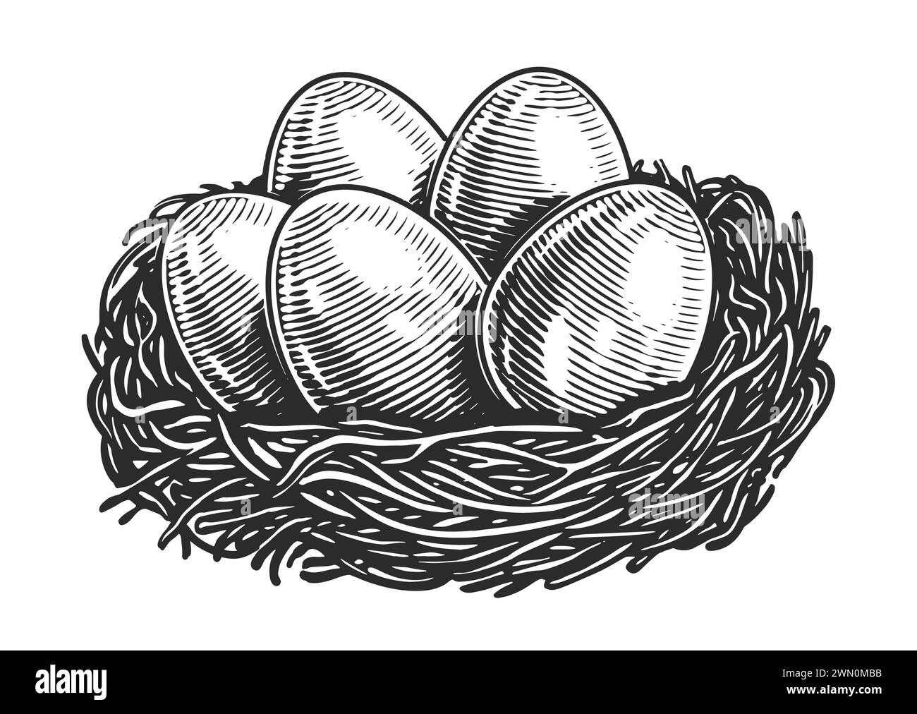 Hühnereier im Nest. Bio-Lebensmittel vom Bauernhof. Handgezeichnete Skizze Vintage Vektor Illustration Stock Vektor