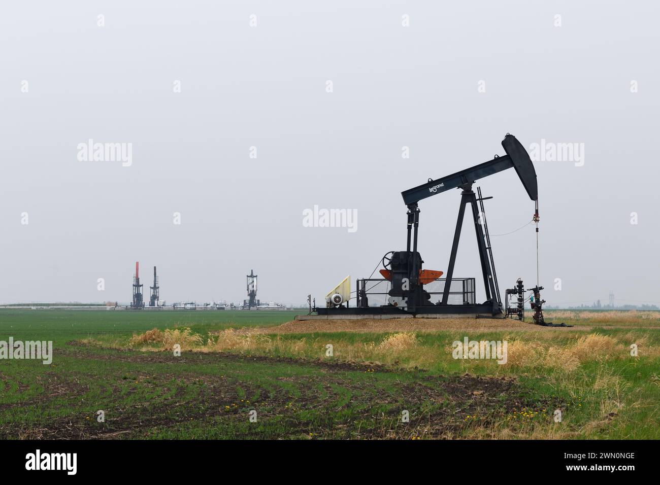 Der Ölförderer ist ein bekannter Anblick in den Feldern rund um Edmonton, Alberta, Kanada Stockfoto