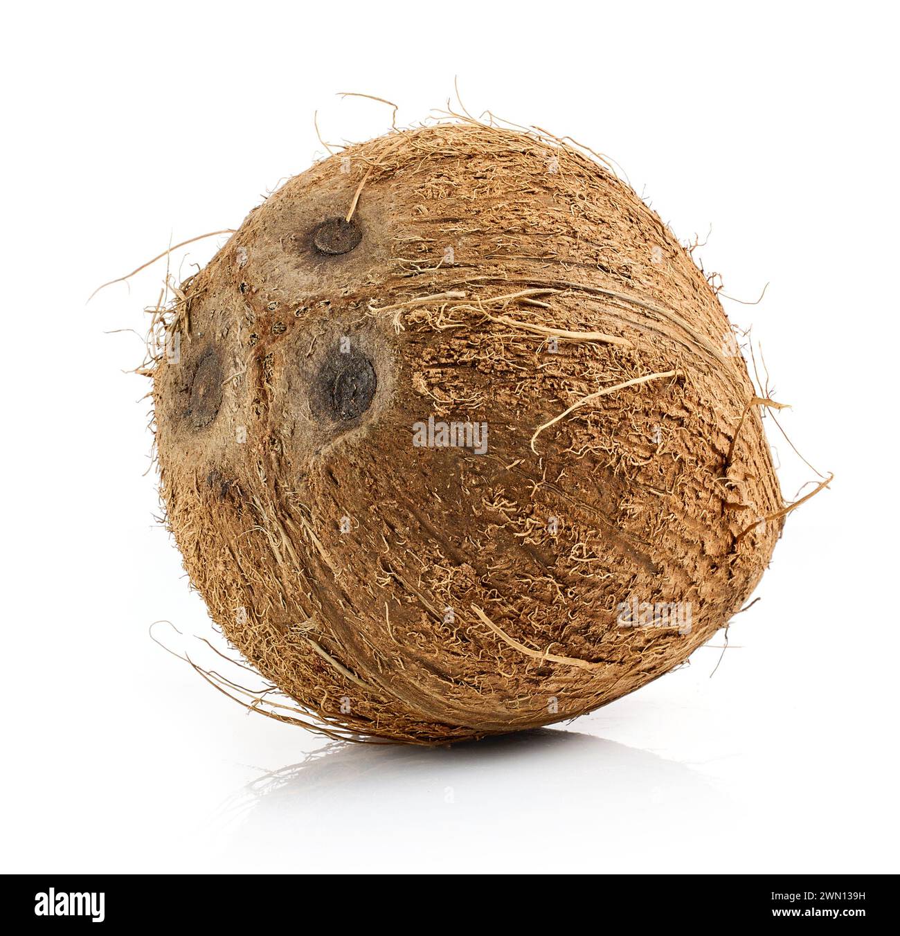 Frische reife ganze Kokosfrucht isoliert auf weißem Hintergrund Stockfoto