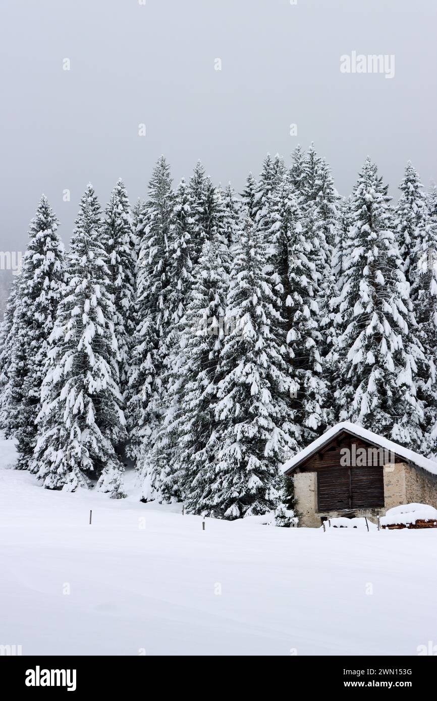 Winterliche Stimmung mit verschneitem Stand Stockfoto