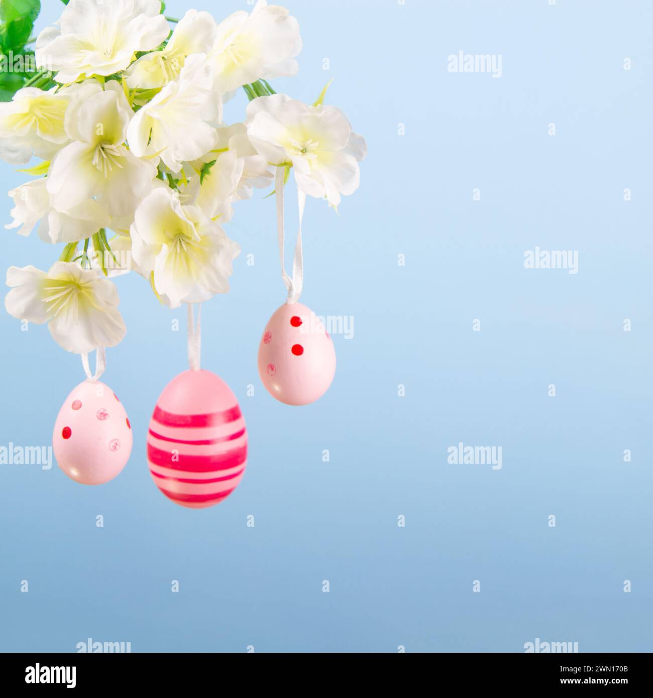 Schöne Osterpräsentation mit rosa Eiern, die an einem Zweig hängen, voller Blüten auf einem friedlichen blauen Hintergrund Stockfoto