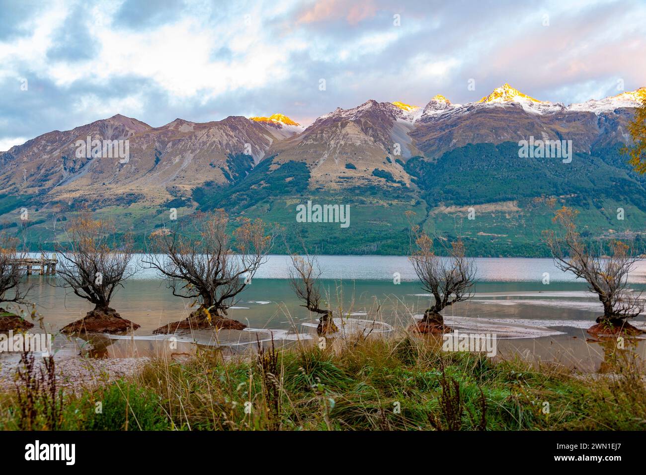 Glenorchy, Otago, Neuseeland, Sonnenaufgang über dem Lake Wakatipu mit berühmten Weiden im See, Glenorchy Steg, Neuseeland, 2008 Stockfoto