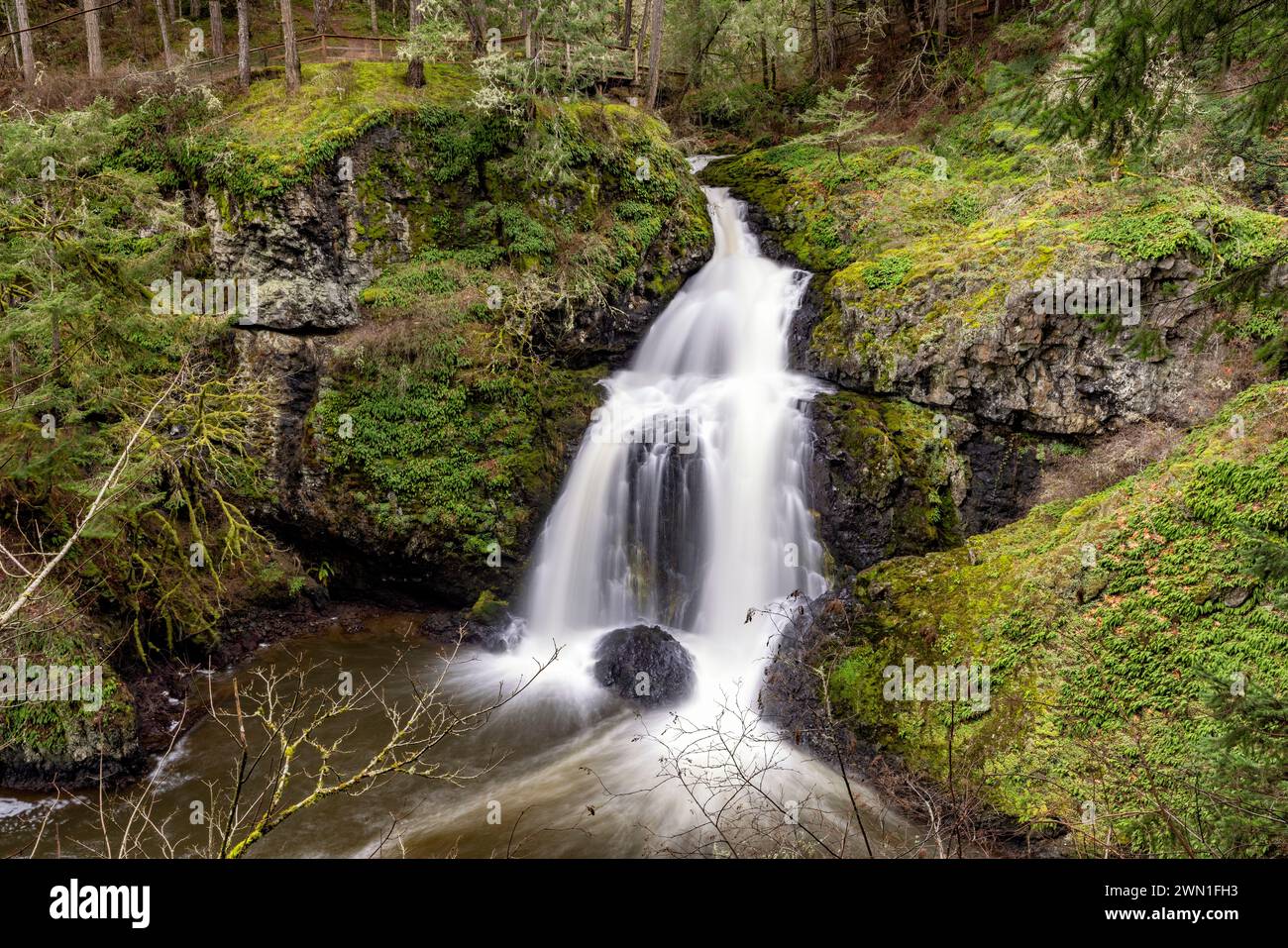 Sitzende Dame fällt - Der witzige Lagune Regional Park, Metchosin, in der Nähe von Victoria, Vancouver Island, British Columbia, Kanada Stockfoto