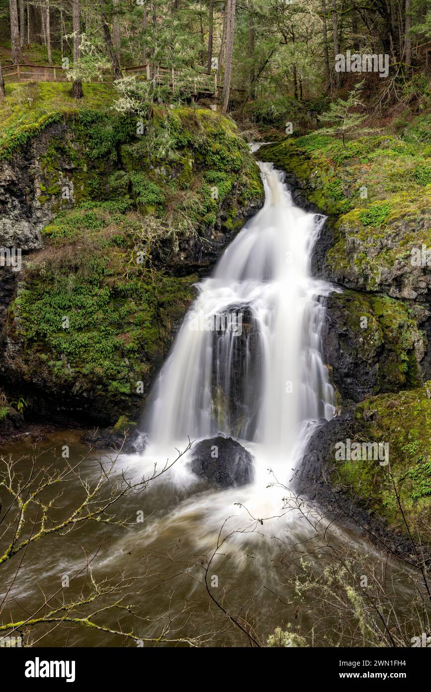 Sitzende Dame fällt - Der witzige Lagune Regional Park, Metchosin, in der Nähe von Victoria, Vancouver Island, British Columbia, Kanada Stockfoto