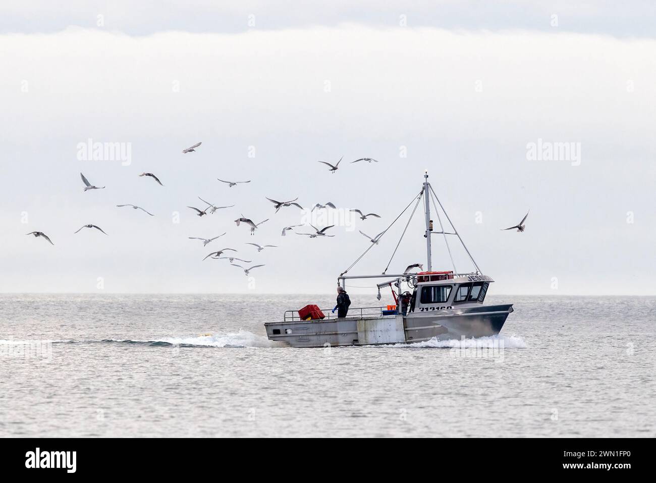 Fischtrawler in der Straße von Juan de Fuca - Victoria, Vancouver Island, British Columbia, Kanada Stockfoto
