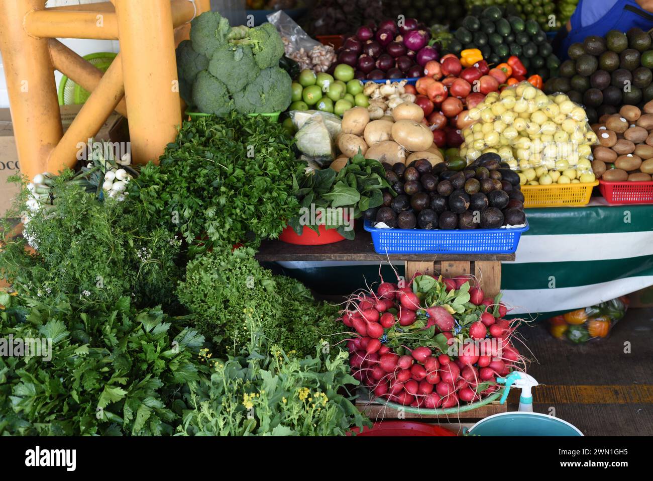 Gemüse und Obst zum Verkauf auf dem Mercado Benito Juarez Markt in Puerto Escondido, Oaxaca, Mexiko Stockfoto