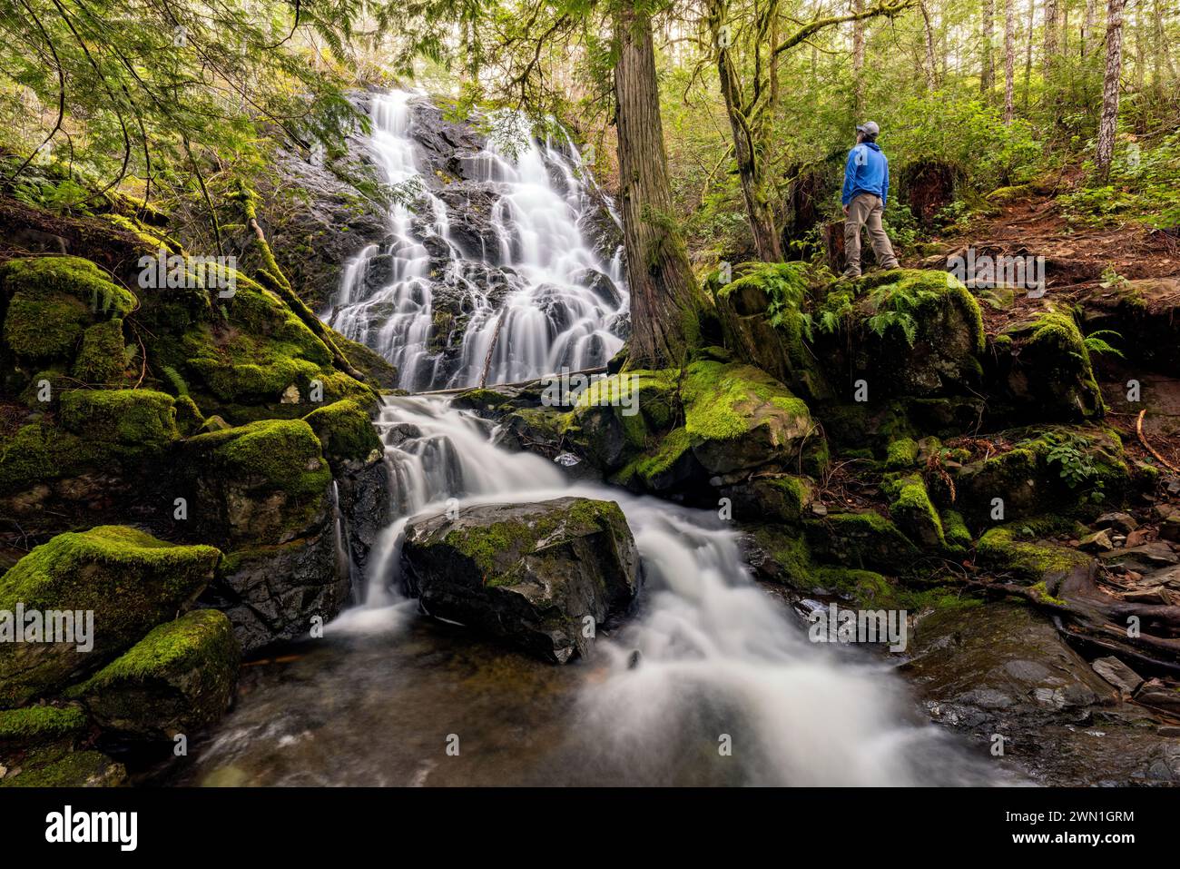 Wanderer an den Mary Vine Creek Falls - Sooke, Vancouver Island, British Columbia, Kanada Stockfoto