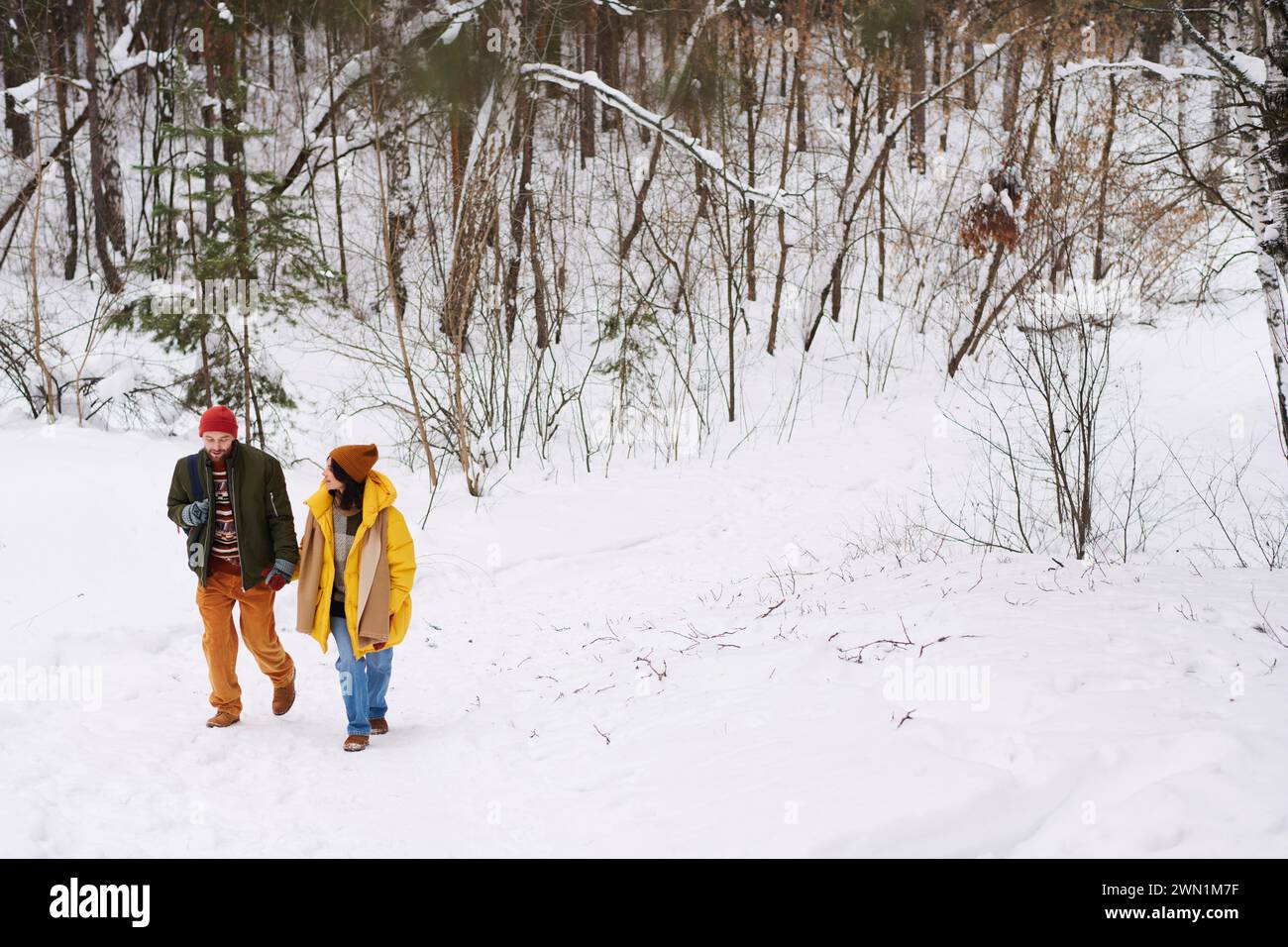 Extrem lange Aufnahme von jungen kaukasischen Männern und Frauen in der Liebe, die warme Kleidung tragen und am Wintertag wandern Stockfoto