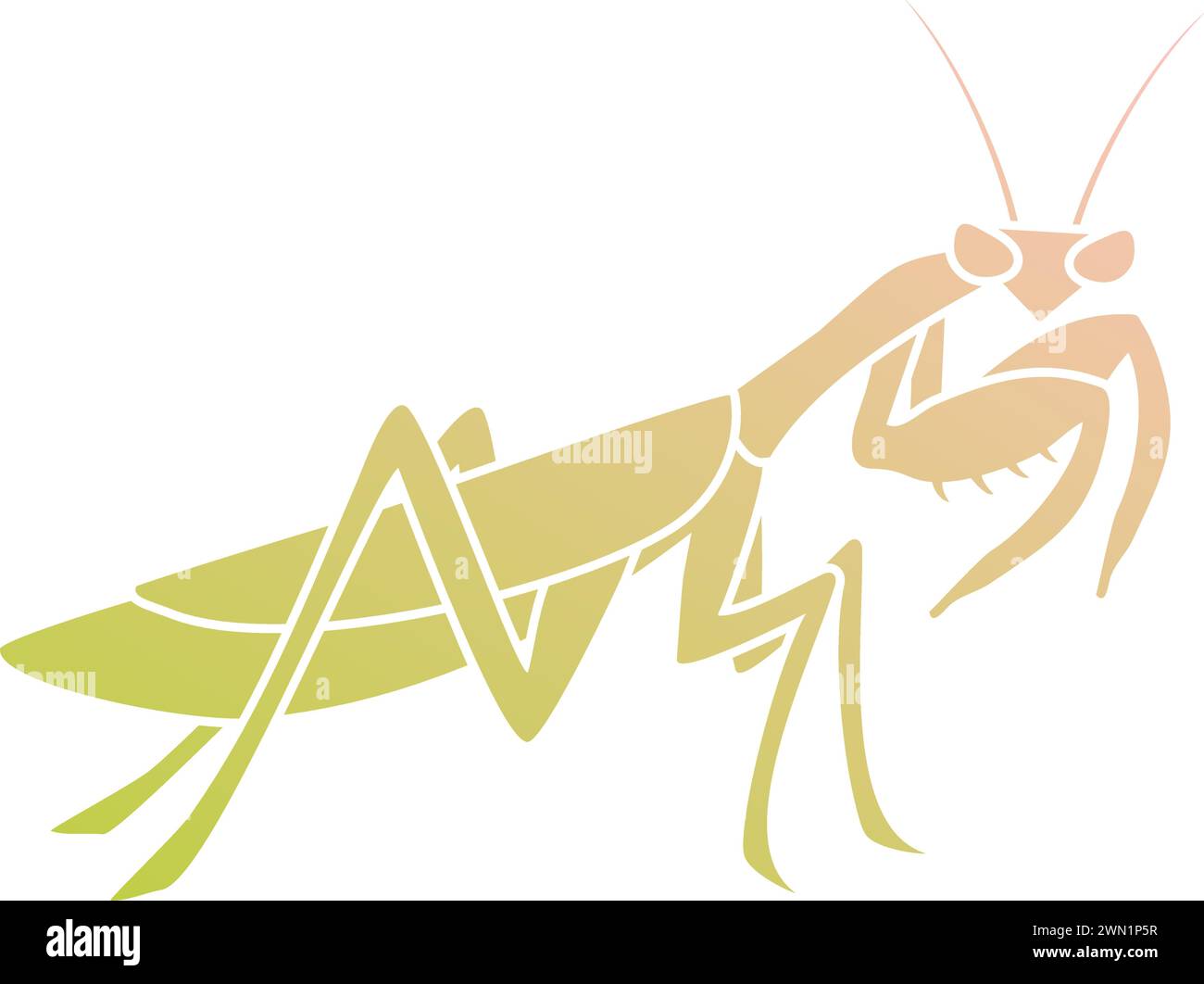 Kreative Darstellung von Mantis Stock Vektor