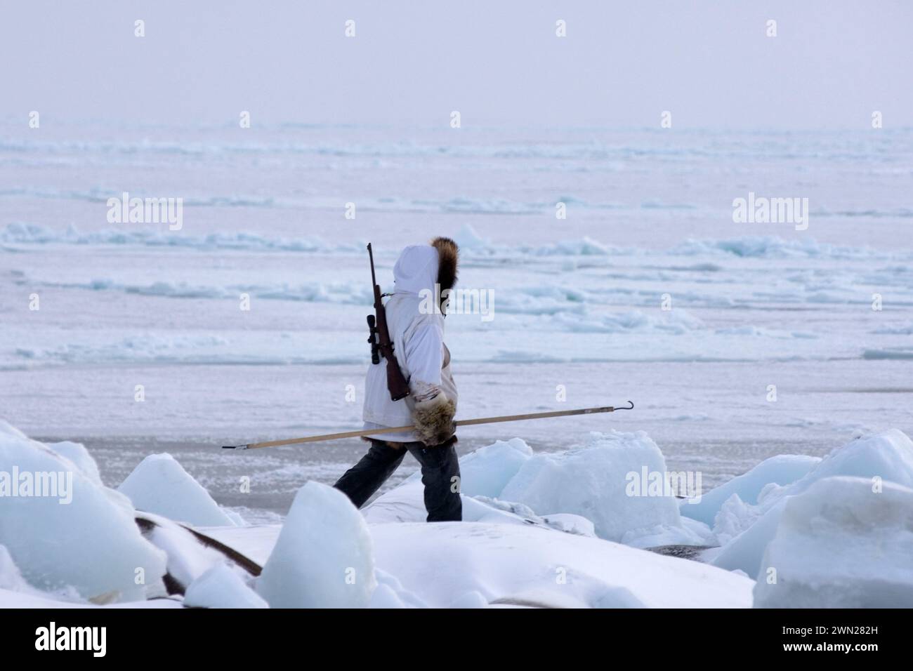 Inupiaq-Jäger Alan Lane Uqpiksaun Robbenjagd auf offenem Bleiwasser am Point of Point Hope Tigia Arctic Alaska Stockfoto