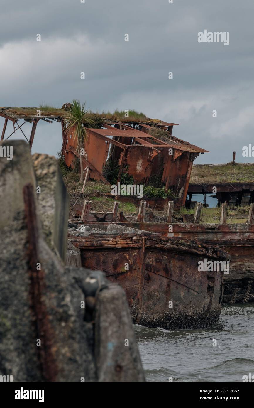 Das alte Whakatiiwai-Schiffswrack an der Seabird Coast am Westufer des Firth of Thames im Hauraki District, Neuseeland. Das HMNZ Hinau. Stockfoto